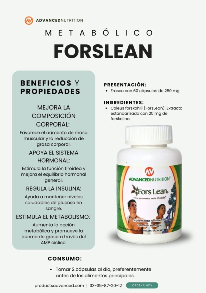 ForsLean Info1